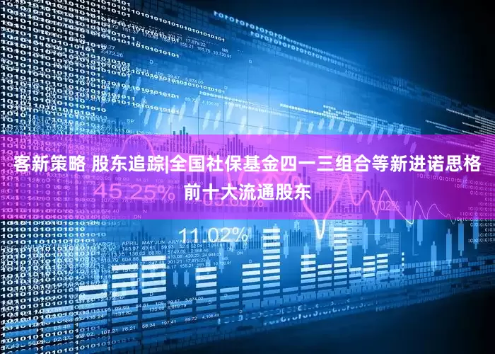客新策略 股东追踪|全国社保基金四一三组合等新进诺思格前十大流通股东