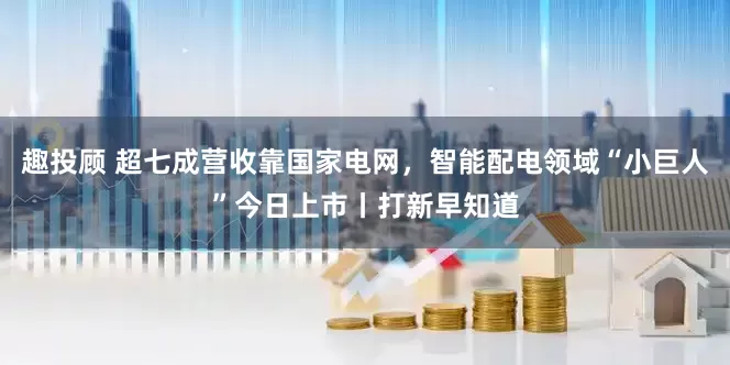 趣投顾 超七成营收靠国家电网，智能配电领域“小巨人”今日上市丨打新早知道